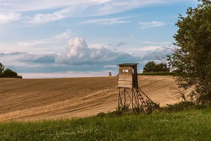 hunter high on a field