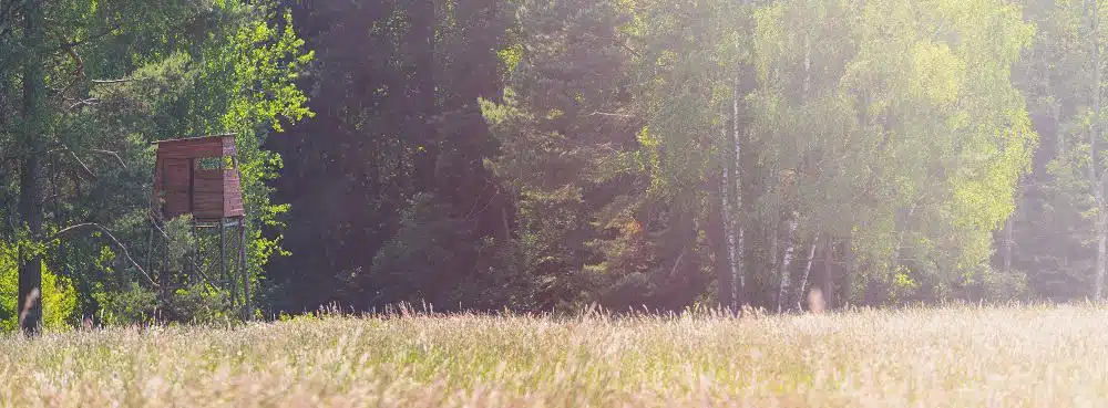 wooden hunting blind