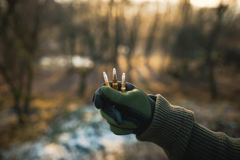 Hunter hand with green gloves