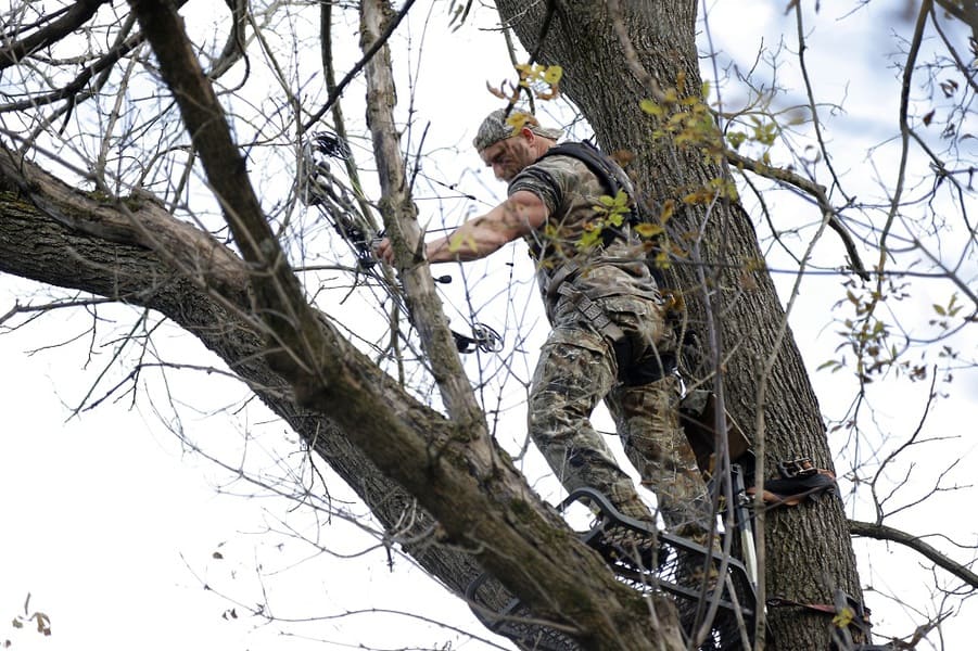 Types Of Portable Tree Stands For Hunting Differences And Pros & Cons