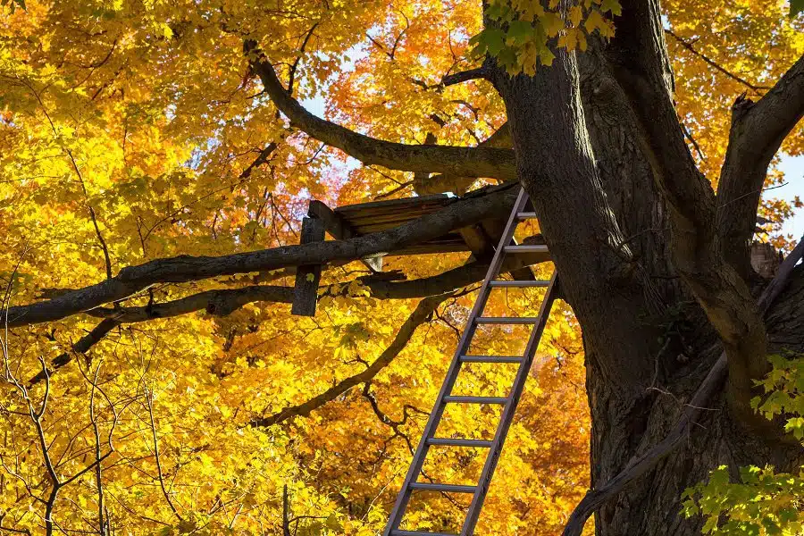 Hunting Tree Stand