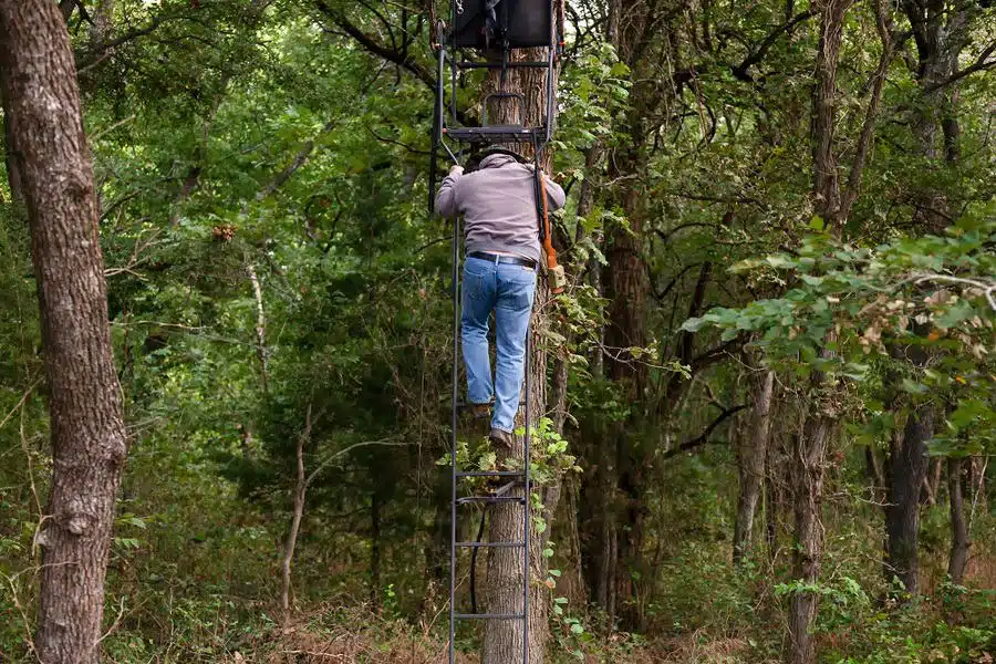 hunter descending from a ladder stand