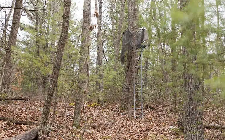 A hunter's deer tree stand