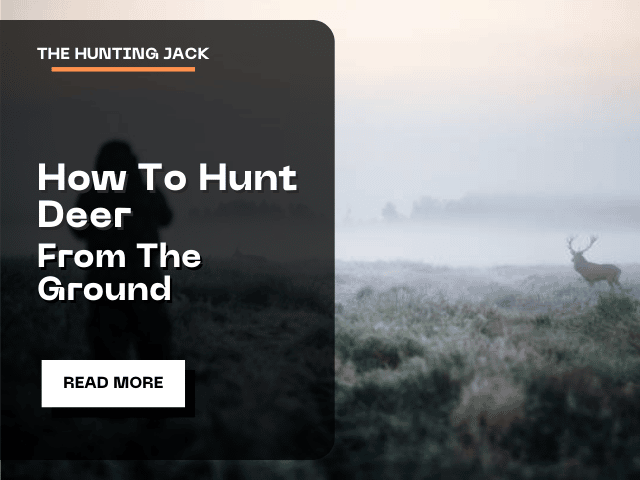 How To Hunt Deer From The Ground