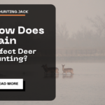 How Does Rain Affect Deer Hunting?