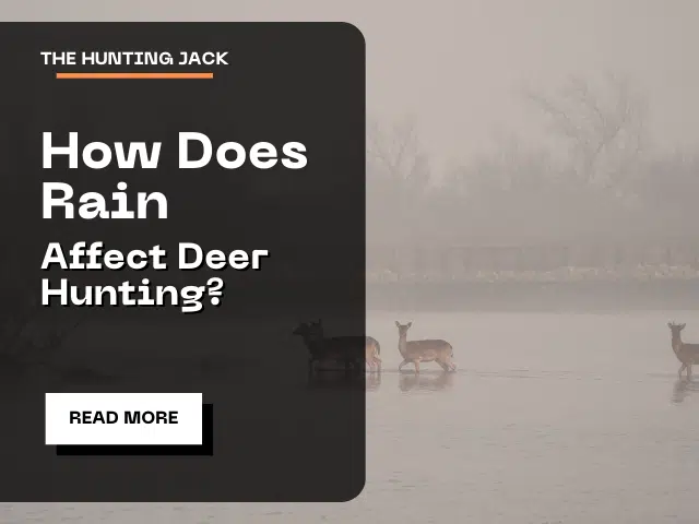 How Does Rain Affect Deer Hunting?