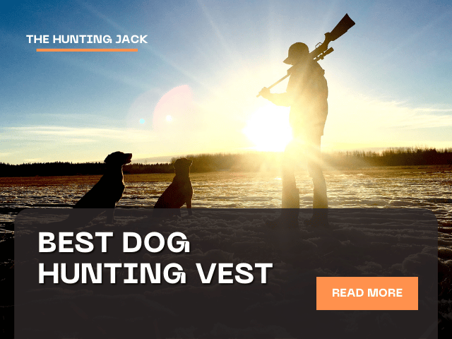Best Dog Hunting Vests 2023