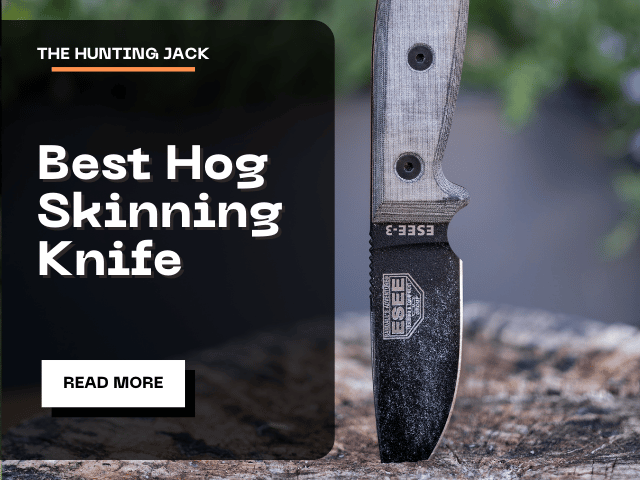 Best Hog Skinning Knife 2023